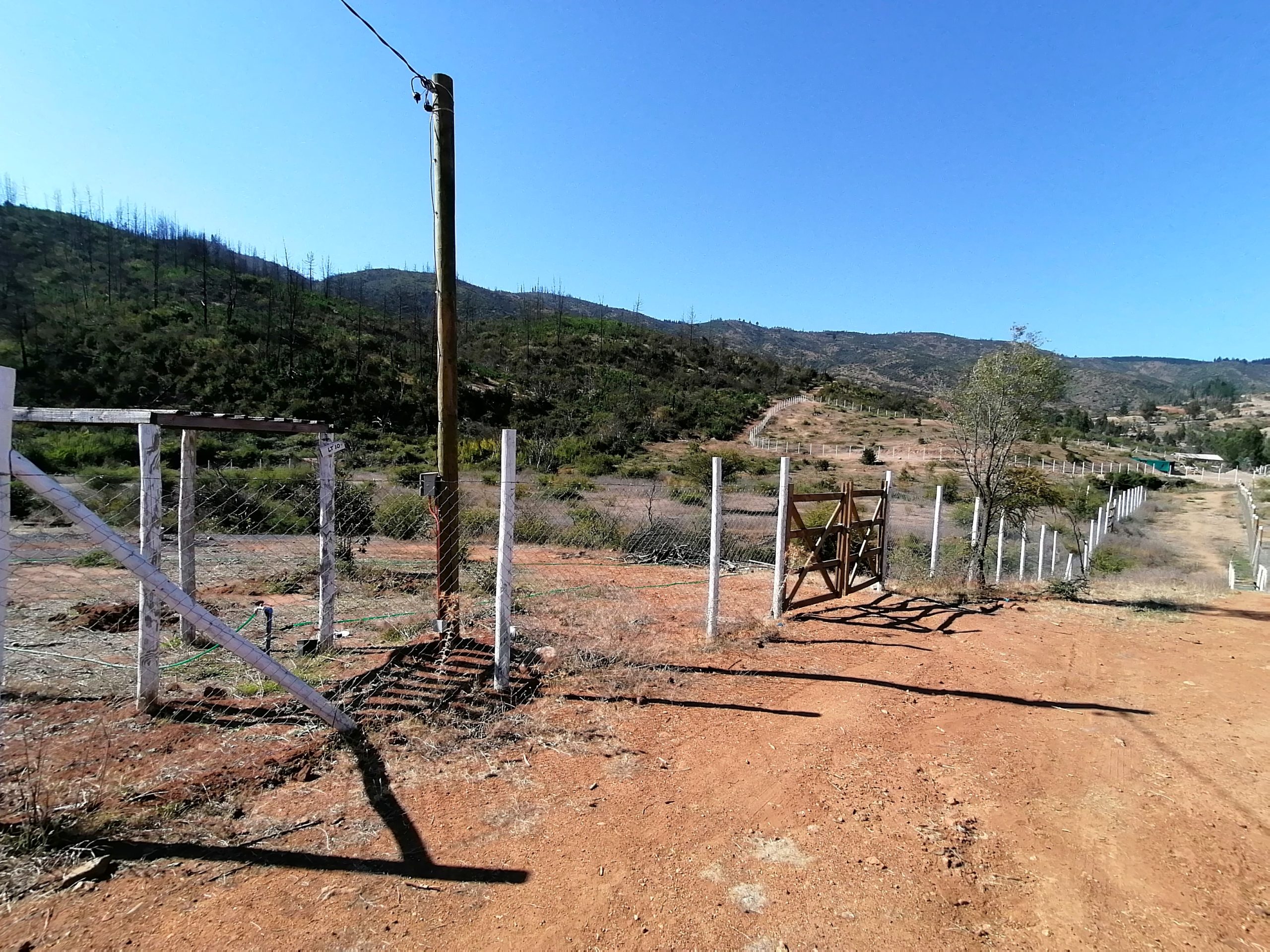 Venta de Parcela en Hualañé Imagen 3