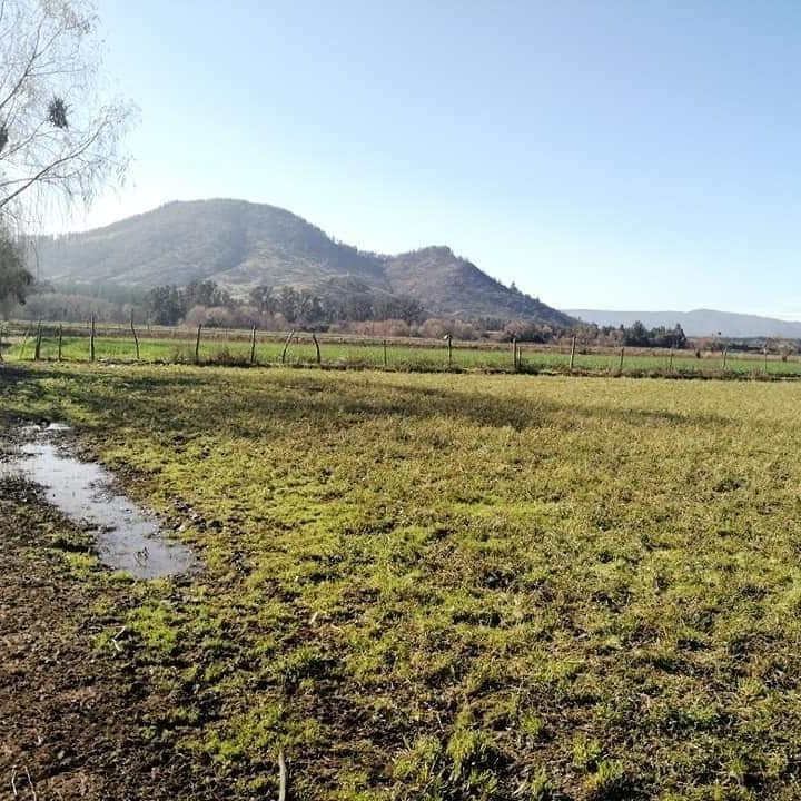 [VENTA] 1 HECTÁREA en Mira Ríos – Hualañé Imagen 1