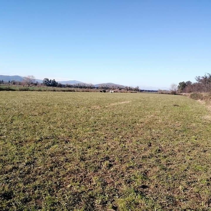 [VENTA] 1 HECTÁREA en Mira Ríos – Hualañé Imagen 2